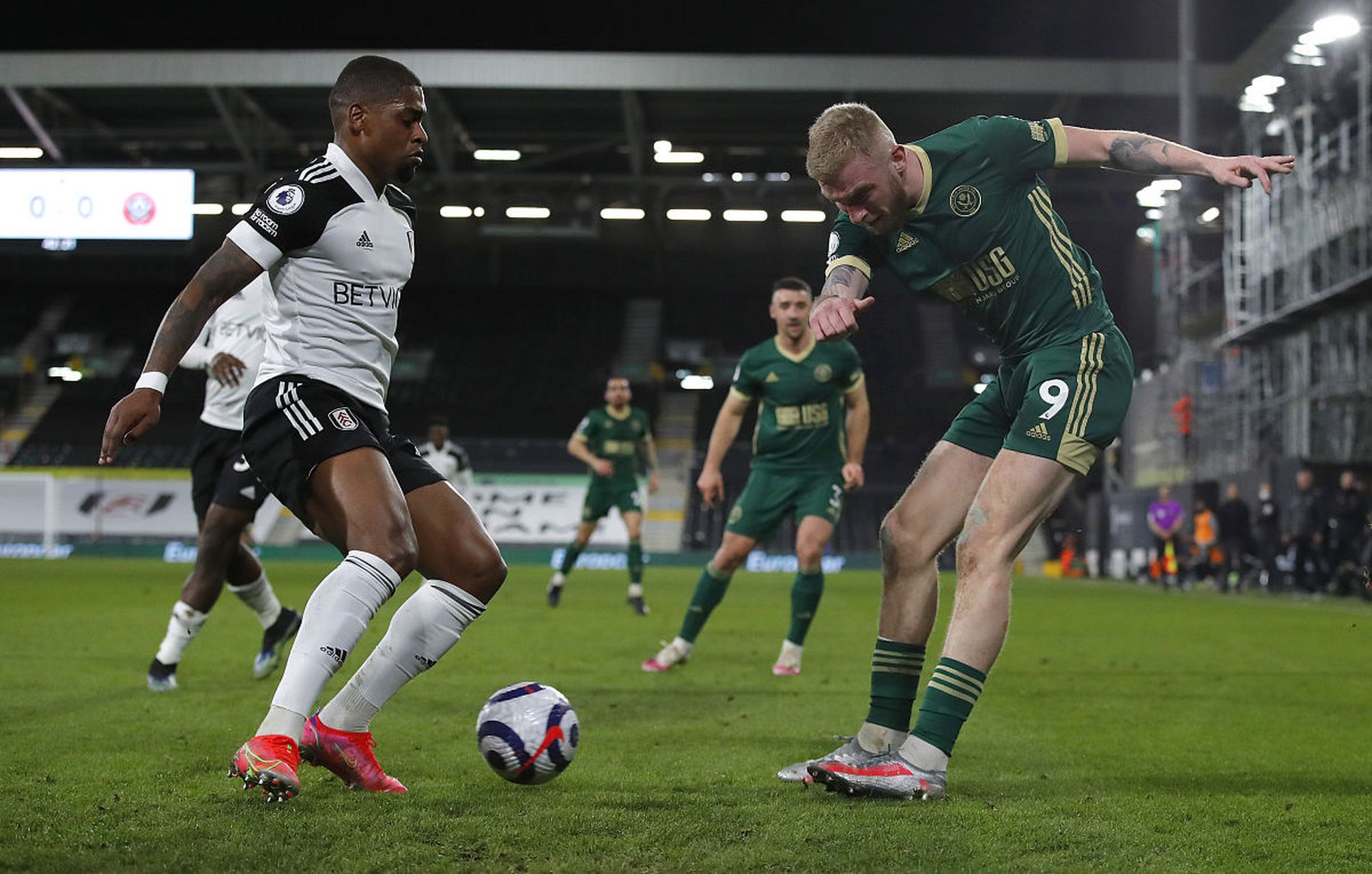 森林狼为了 森林狼为了