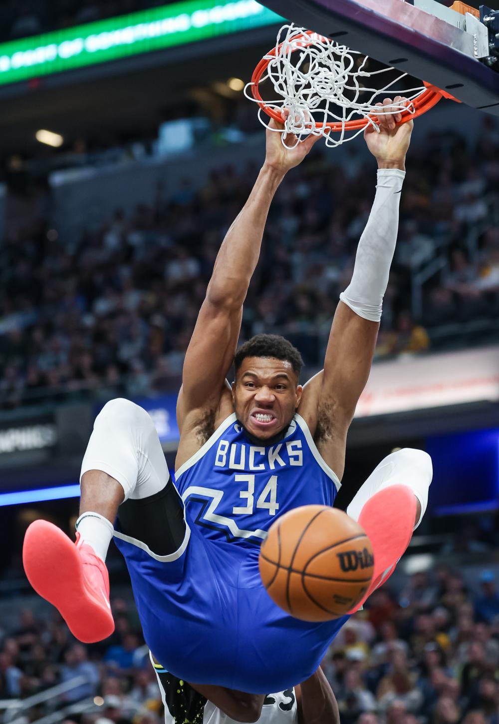 他从罗马青 他从罗马青